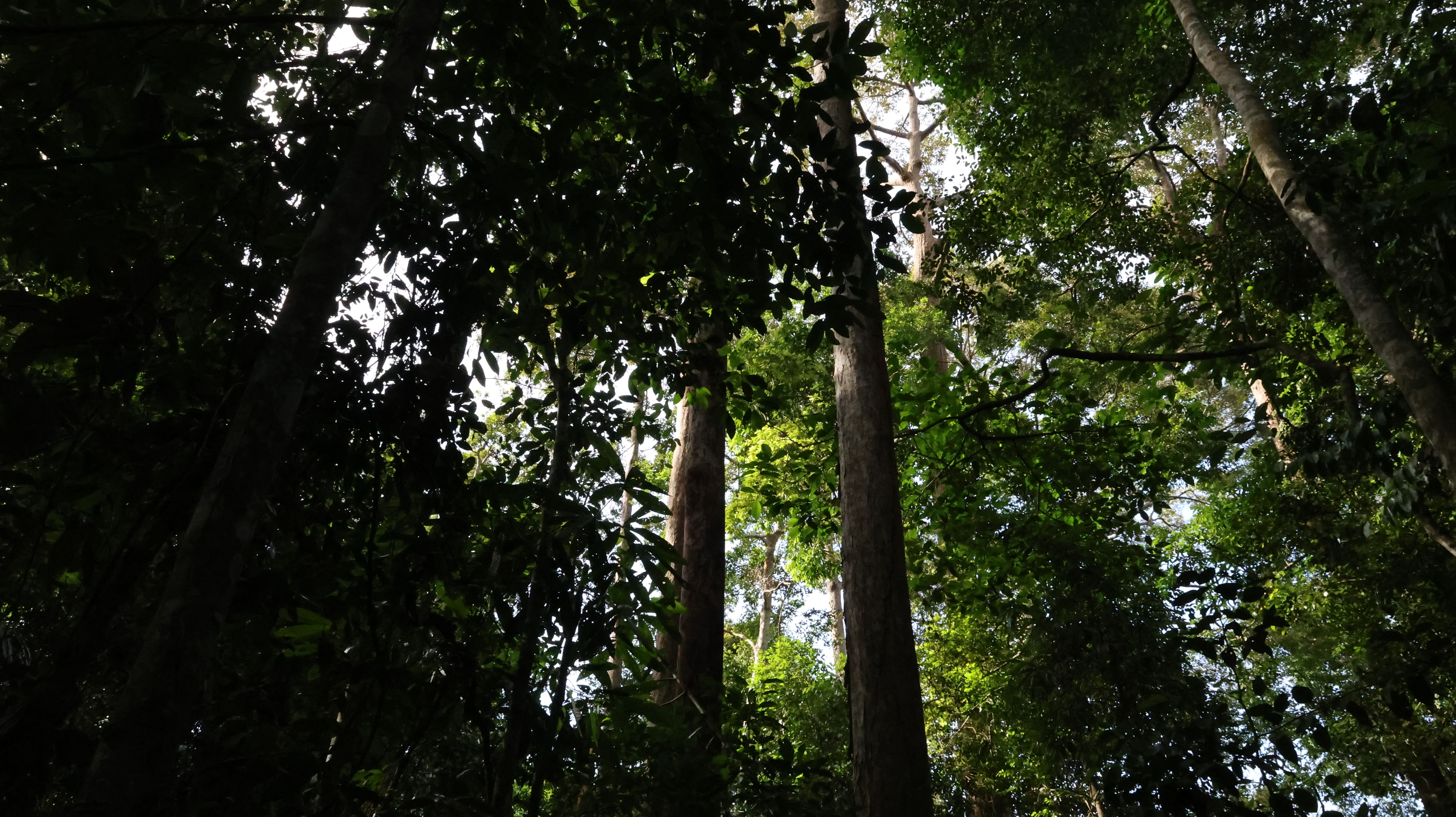 Wartono Kadri Photo 3